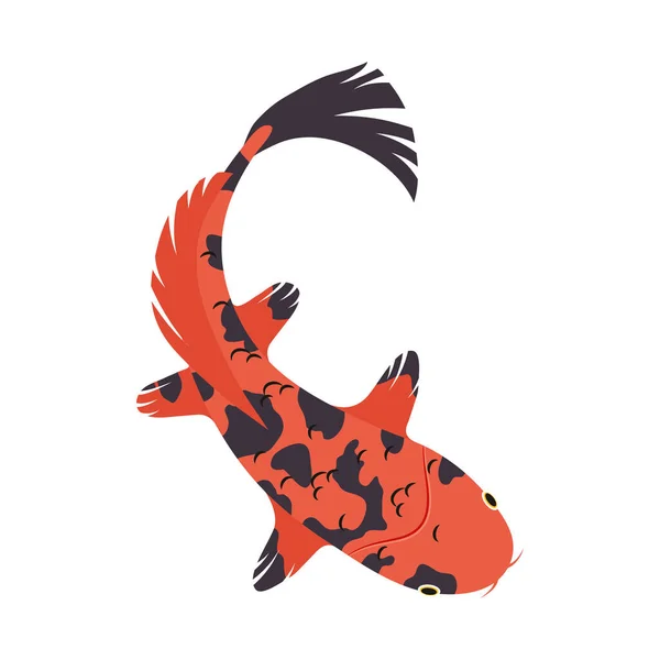 Oranžová a černá koi ryba — Stockový vektor