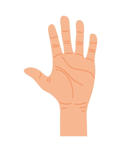 Hand human stop palm — Stock Vector