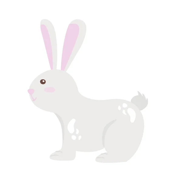 Tatlı beyaz tavşan. — Stok Vektör