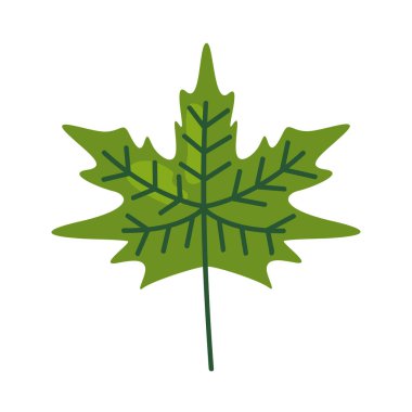 yeşil sonbahar yaprağı