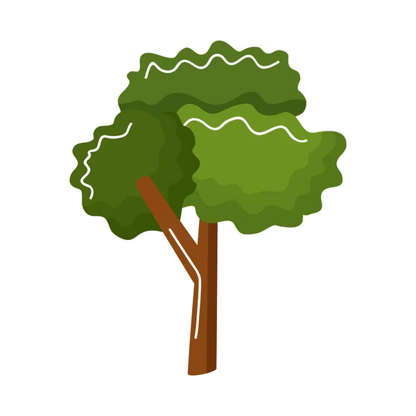 Albero foresta pianta — Vettoriale Stock