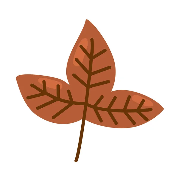Feuilles d'automne naturel — Image vectorielle