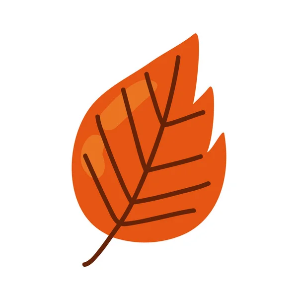 Yaprak portakalı sonbahar — Stok Vektör