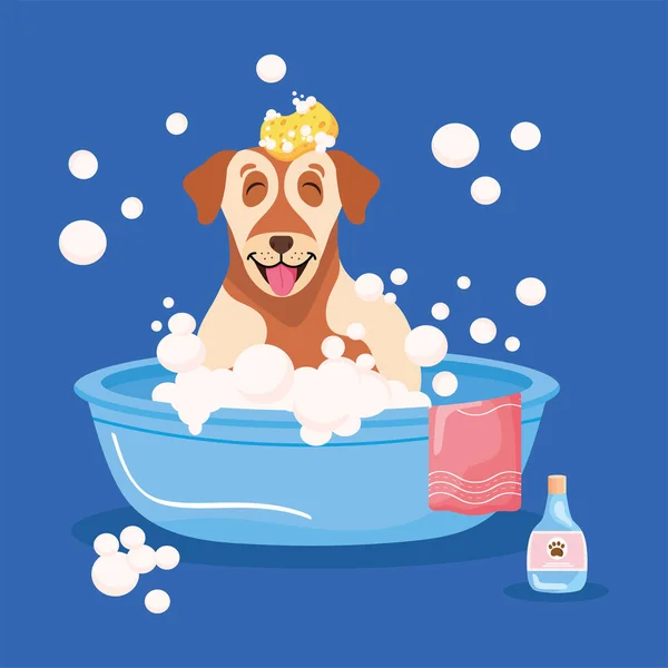 Poster with pet in bathtub — Stock Vector