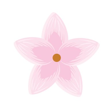 kiraz pembesi çiçek