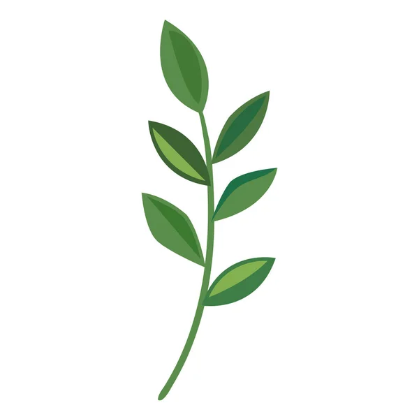 Κλαδί με φύλλα φύσης — Διανυσματικό Αρχείο