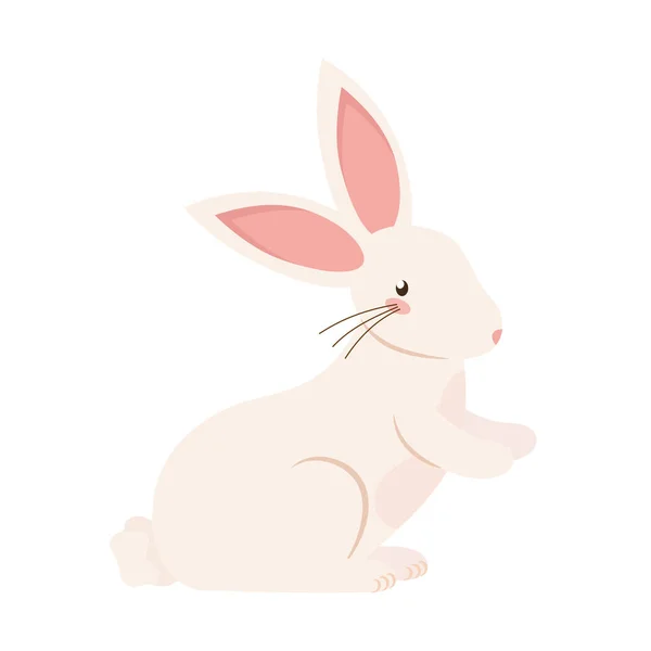 Conejo pequeño animal — Archivo Imágenes Vectoriales