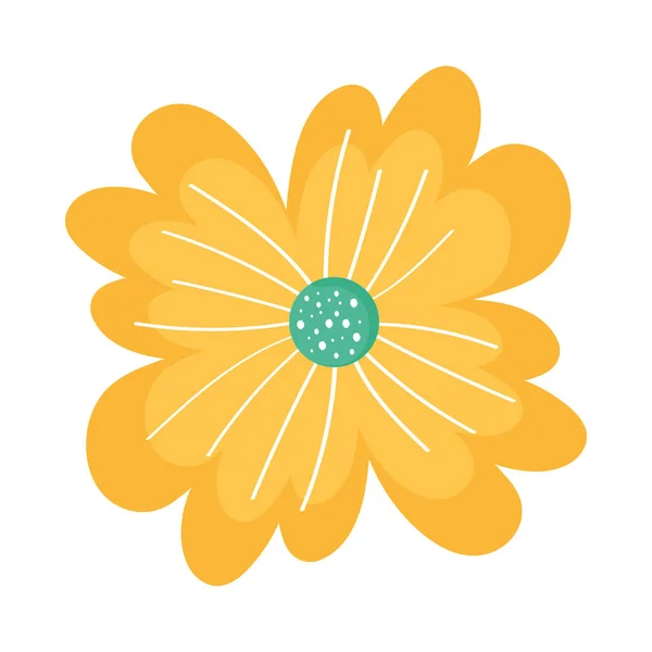 黄色い花弁の花 — ストックベクタ