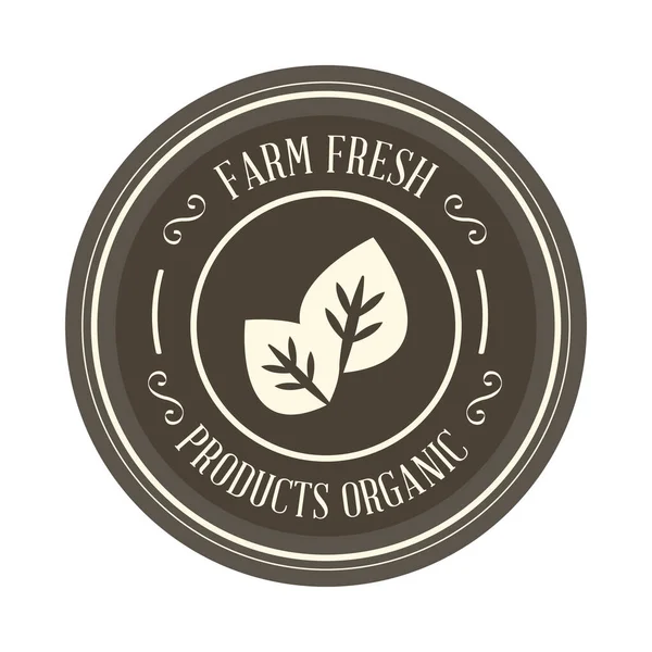 Farm fresh product organic — Stock Vector