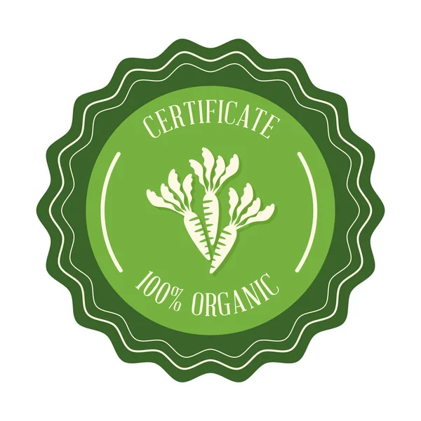 Certifikat 100 ekologiskt med morötter — Stock vektor