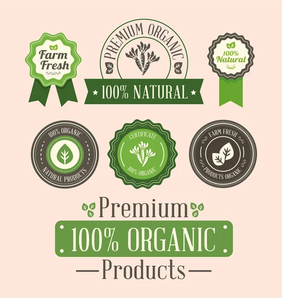 Iconos con insignias para productos ecológicos — Vector de stock