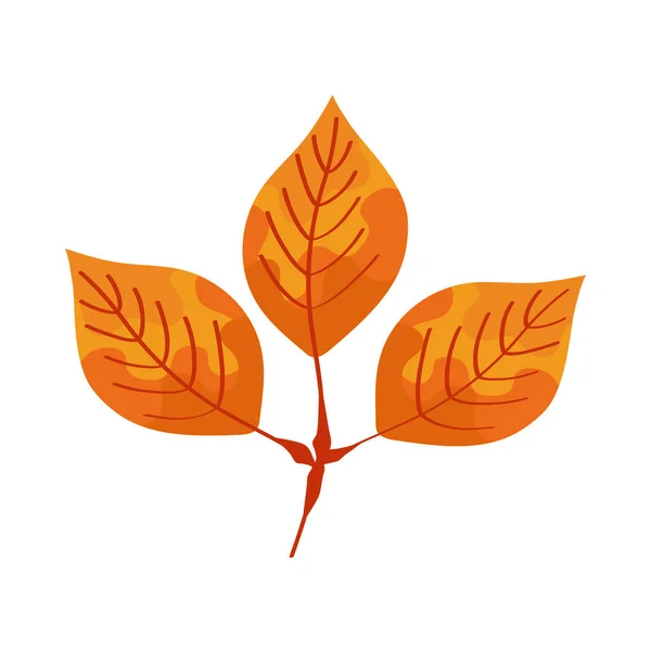 Jesienny oddział z liśćmi — Wektor stockowy