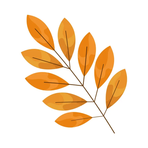 Höst gren med blad — Stock vektor