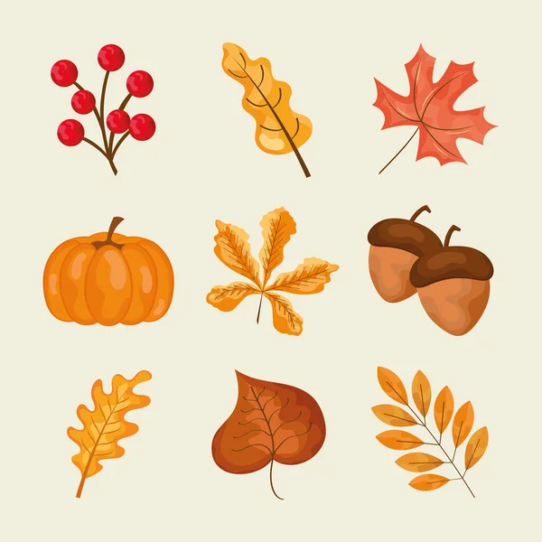 Feuilles d'automne design — Image vectorielle