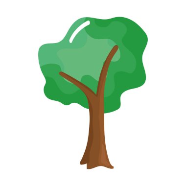 Ağaç bitkisi ormanı