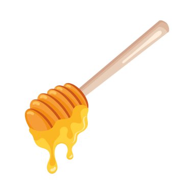 Tahta bal kaşığı