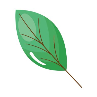 Yaprak yeşili bitki