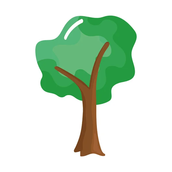 Träd växtskog — Stock vektor