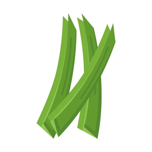 Zelená celerová zelenina — Stockový vektor
