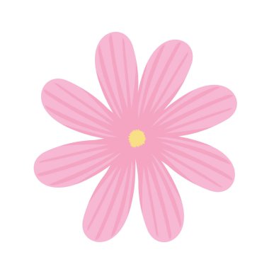 pembe sevimli çiçek