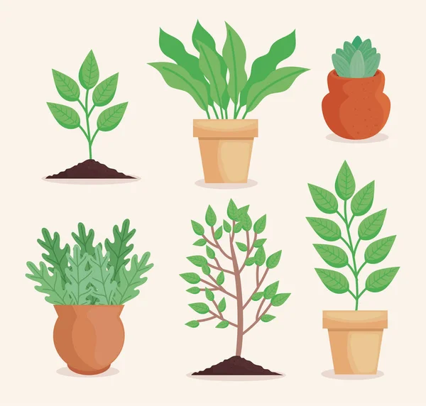 Six plantes de plantation — Image vectorielle