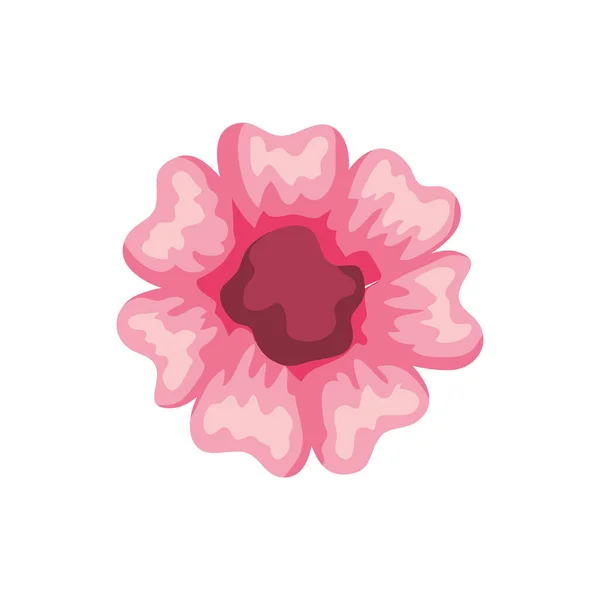 Cor rosa flor — Vetor de Stock
