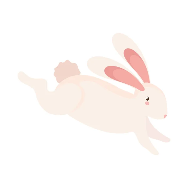 Little rabbit jumping — Stock Vector