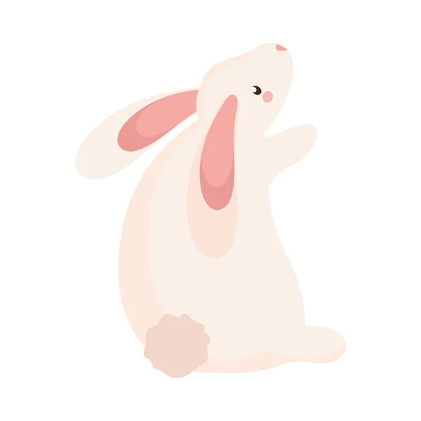 Petit lapin assis — Image vectorielle