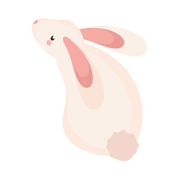 Little rabbit back — Stock Vector