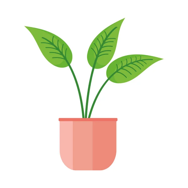 Kamerplant in oranje pot — Stockvector