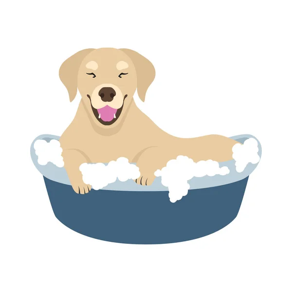 Perrito tomando baño — Archivo Imágenes Vectoriales