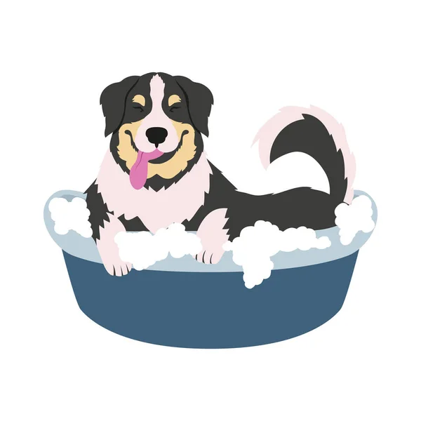 Собака принимает ванну — стоковый вектор