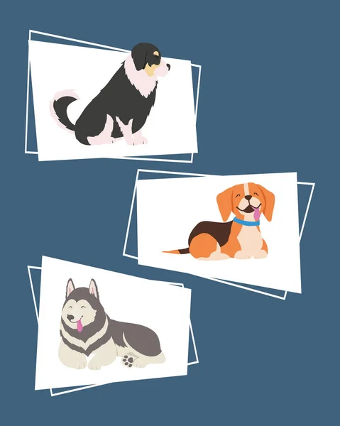 Ikoner med hundar — Stock vektor