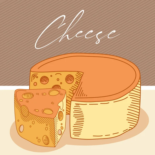 Delicious cheese food — Stock Vector