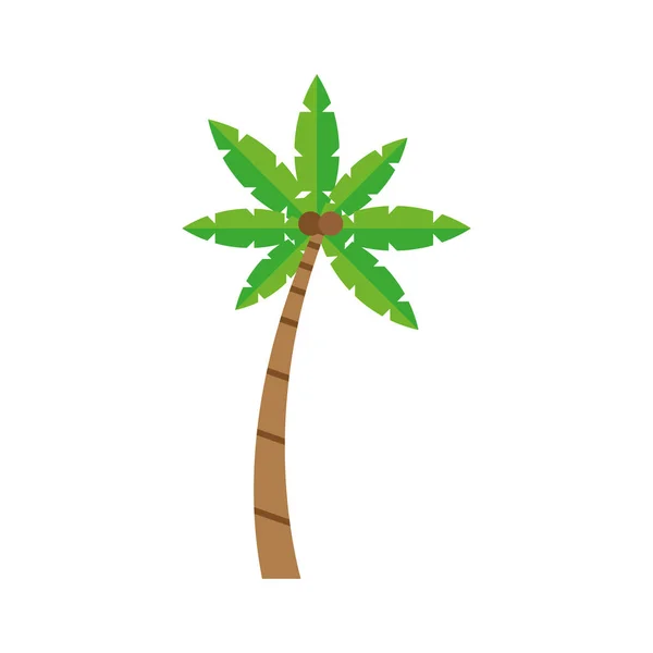 Palmera de árbol tropical — Vector de stock