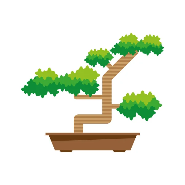 Planta de bonsái japonés — Vector de stock