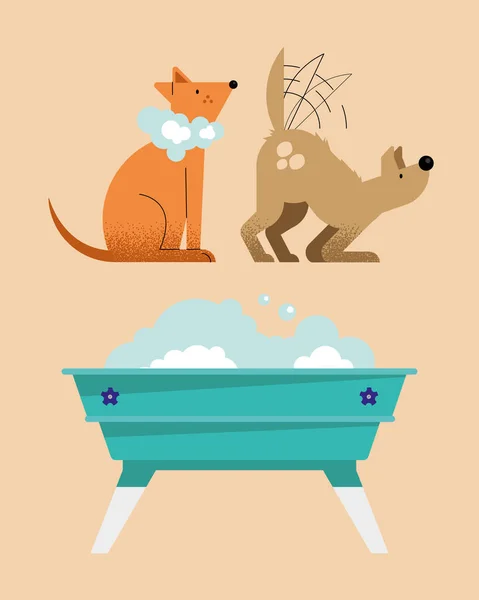 Washing pets icons — Stock Vector