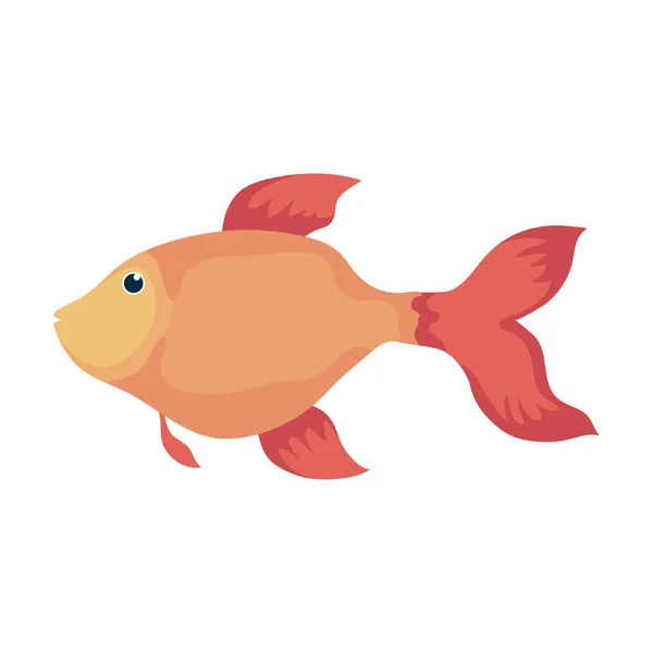 Золота риба плаває — стоковий вектор