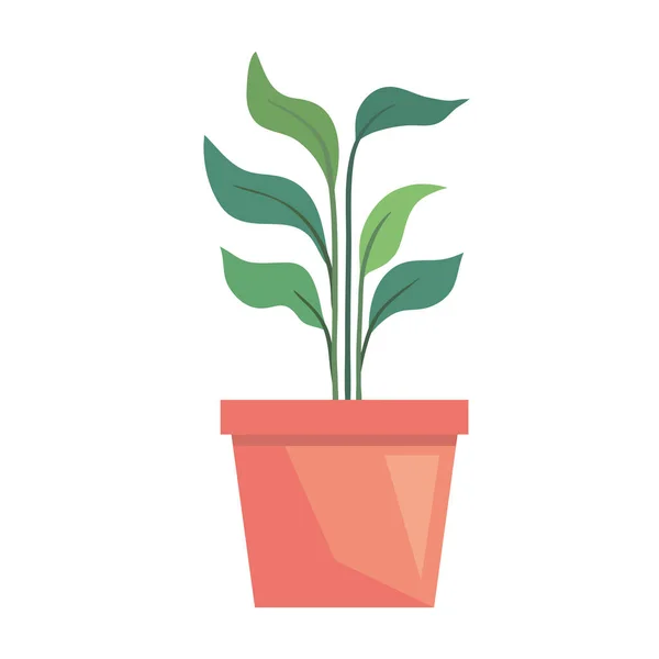Planta de sala em vaso cerâmico — Vetor de Stock