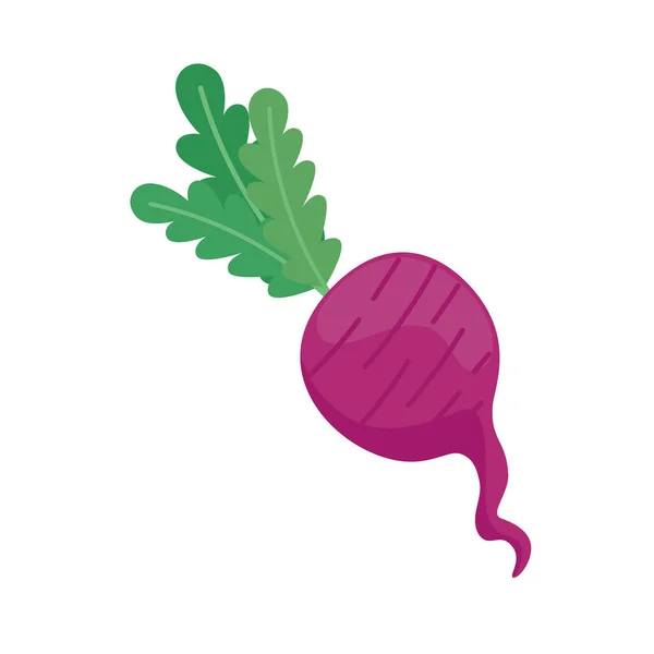 Légumes à l'oignon isolés — Image vectorielle