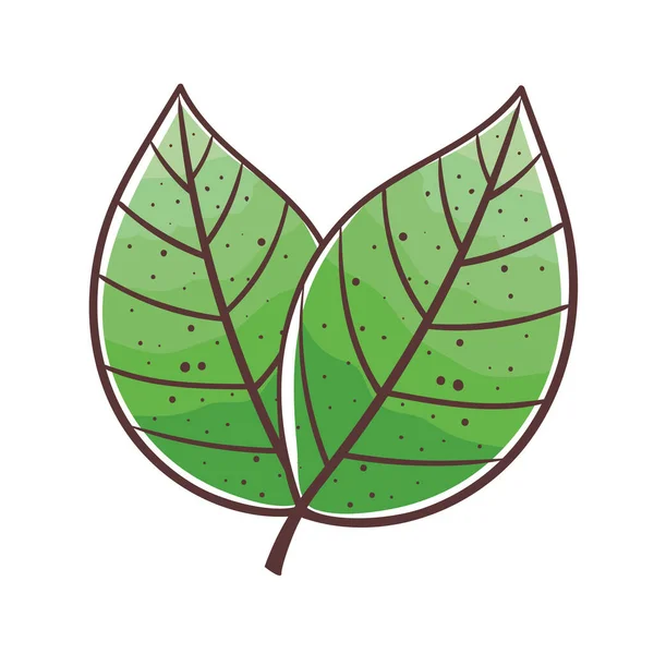 Значок листьев растений — стоковый вектор