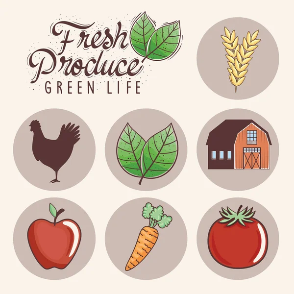 Fresh produce icons — Stock Vector