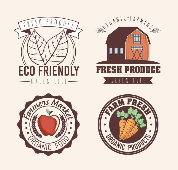Eco friendly labels set — Stock Vector