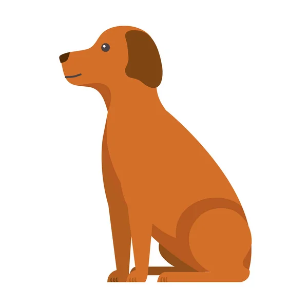 Brązowy pies kreskówka — Wektor stockowy