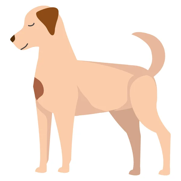 Ikona maskota psa — Stockový vektor