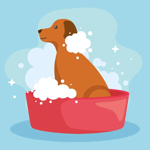 Marrón perro dentro ducha — Archivo Imágenes Vectoriales