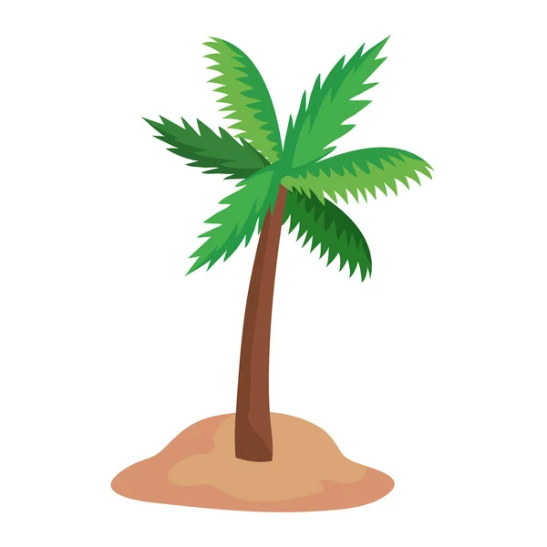 Palmträdsikon — Stock vektor
