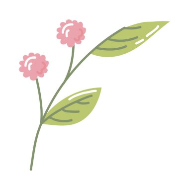 dallı pembe çiçekler