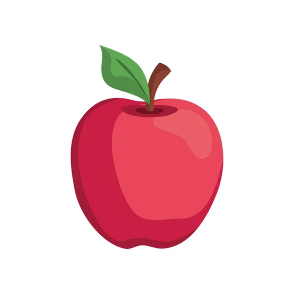 Pojedyncze owoce jabłka — Wektor stockowy