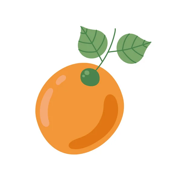 Naranja y hojas — Vector de stock